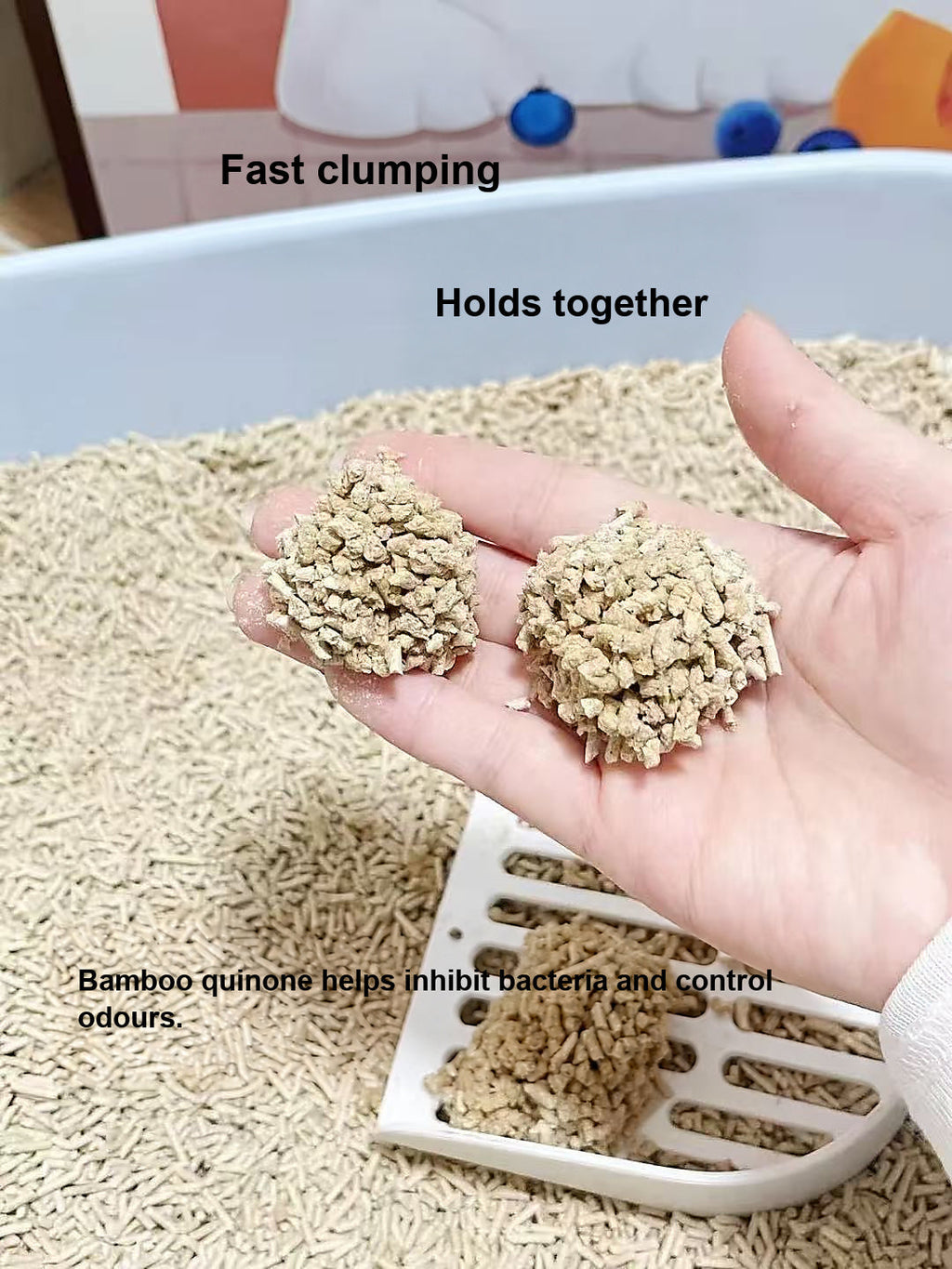 bamboo clumping — English information